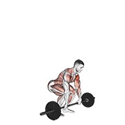 nalog i potisak sa šipkom — fitness vježba