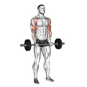 drag pregibi sa šipkom — fitness vježba