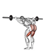 good morning sa šipkom — fitness vježba