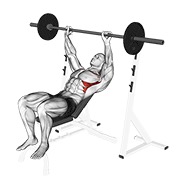 podizanje ramena na pozitivnoj klupi sa šipkom — fitness vježba