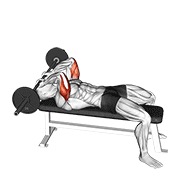 skull crusher ležeći sa šipkom — fitness vježba