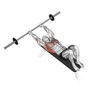 pullover sa šipkom — fitness vježba