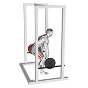 rack pull sa šipkom — fitness vježba