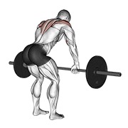 veslanje za stražnje deltoide sa šipkom — fitness vježba