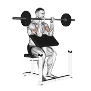 obrnuti preacher pregibi sa šipkom — fitness vježba