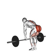 rumunjsko mrtvo dizanje sa šipkom — fitness vježba