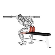 good morning sjedeći sa šipkom — fitness vježba