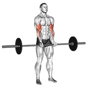 stojeći pregibi uskim hvatom sa šipkom — fitness vježba