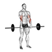 stojeći pregibi obrnutim hvatom sa šipkom — fitness vježba