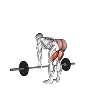 mrtvo dizanje ravnih nogu sa šipkom — fitness vježba