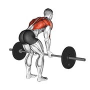 veslanje u pretklonu obrnutim hvatom sa šipkom — fitness vježba