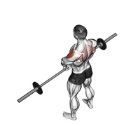 uspravno veslanje sa šipkom v. 2 — fitness vježba