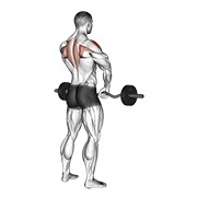 uspravno veslanje sa šipkom — fitness vježba