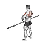 uspravno veslanje sa šipkom v. 3 — fitness vježba