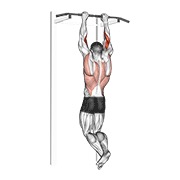 zgibovi za biceps — fitness vježba