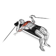 potisak s klupe na sajli — fitness vježba