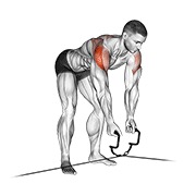 obrnuti fly cross-over na sajli — fitness vježba