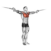 cross-over varijacija na sajli — fitness vježba