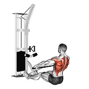 sjedeće veslanje širokim hvatom na podu na sajli — fitness vježba
