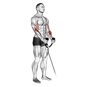 čekić pregibi na sajli (s užetom) — fitness vježba