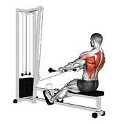 nisko sjedeće veslanje na sajli — fitness vježba