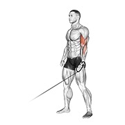 pregibi jednom rukom na sajli — fitness vježba