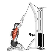 visoko veslanje jednom rukom s ravnim leđima na sajli (klečeći) — fitness vježba