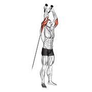 ispružanje tricepsa iznad glave na sajli (s užetom) — fitness vježba