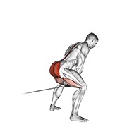 pull-through na sajli (s užetom) — fitness vježba
