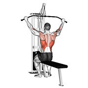pulldown na sajli (pro lat šipka) — fitness vježba