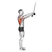 pushdown ispruženih ruku na sajli v. 2 — fitness vježba