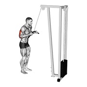 pushdown na sajli — fitness vježba
