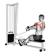 veslanje za stražnje deltoide na sajli (stremenovi) — fitness vježba