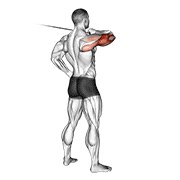stražnji potisak na sajli — fitness vježba