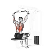 stražnji pulldown na sajli — fitness vježba