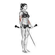 obnuti pregibi na sajli — fitness vježba