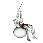 ruski twistovi na sajli (na lopti za stabilnost) — fitness vježba