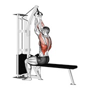 visoko sjedeće veslanje na sajli (V-ručka) — fitness vježba