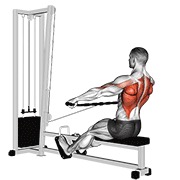 sjedeće veslanje širokim hvatom na sajli — fitness vježba