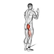 stojeća ekstenzija kuka na sajli — fitness vježba
