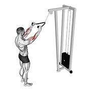 stojeći pulldown na sajli (s užetom) — fitness vježba