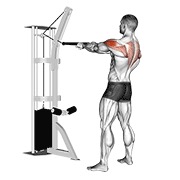 stojeće veslanje za stražnje deltoide na sajli (s užetom) — fitness vježba