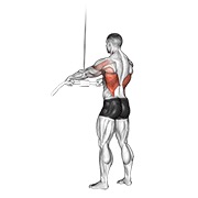 povlačenje ravnih ruku na sajli — fitness vježba