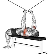 ležeće obrnuto razvlačenje na sajli — fitness vježba