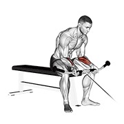 pregibi zapešća na sajli — fitness vježba