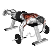 ležeće veslanje sa zakrivljenom šipkom — fitness vježba