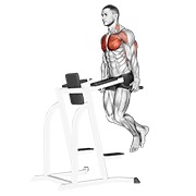 dipovi za prsa — fitness vježba