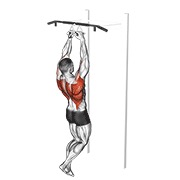 zgibovi (uski paralelni hvat) — fitness vježba