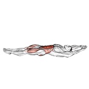 kokoni — fitness vježba