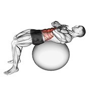 trbušnjak (na lopti za stabilnost) — fitness vježba